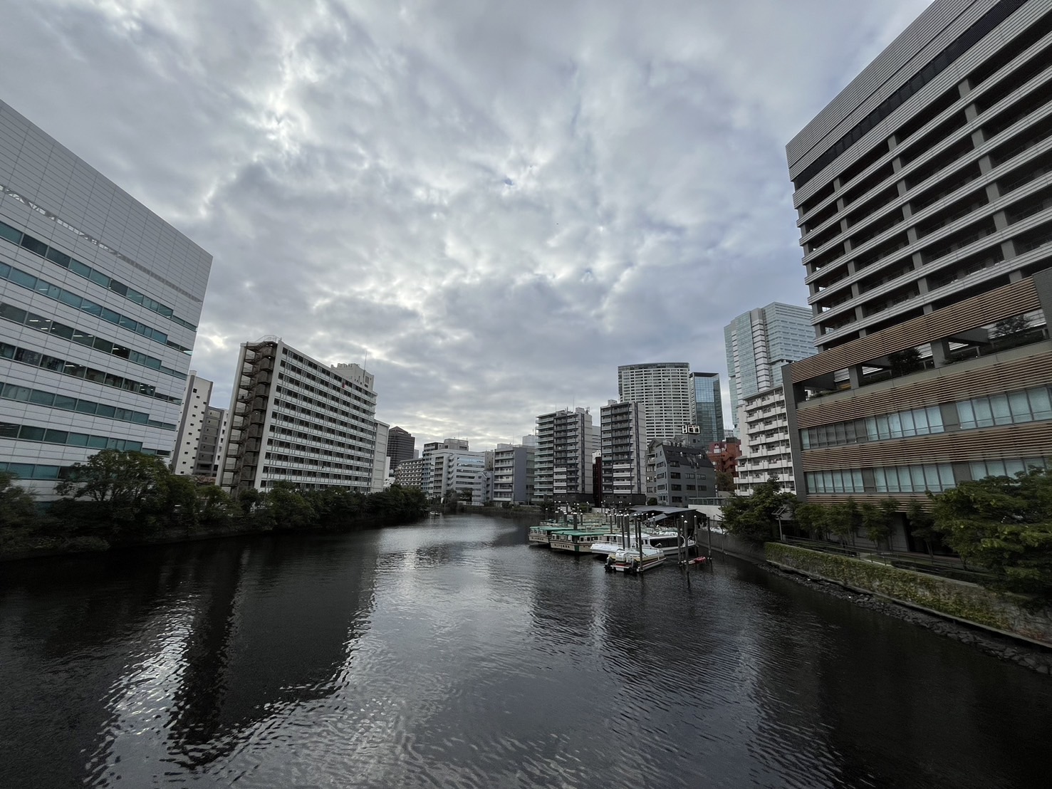 「10棟以上のタワマン建設」北品川再開発の中身と計画反対に動き出す住民たち