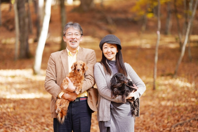 今のままの保険では損をする? 50歳以降に本当に入るべき“基本の保険”の選び方